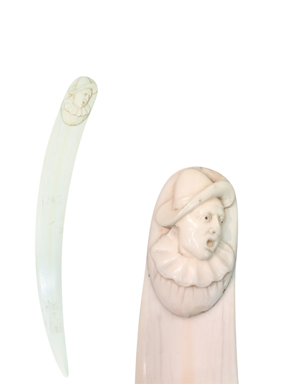 diseño sin título 2026 02 18t205311.644 photoroom