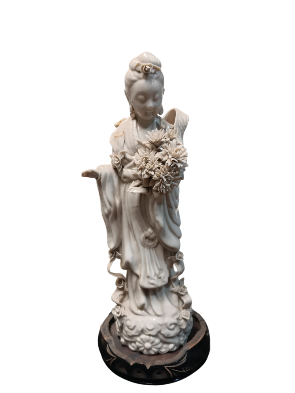 whatsapp image 2026 02 17 at 18.46.21 photoroom